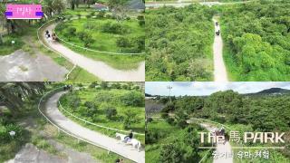 2025 연당초 제주도 테마학습여행 스케치영상 사진